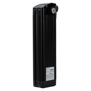 48V20Ah Battery