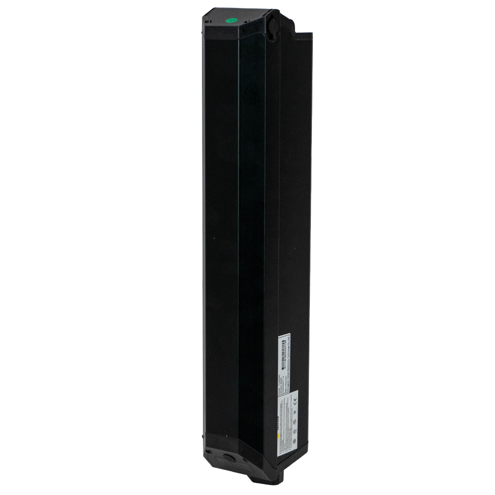 48V20Ah Battery for Burchda RX20