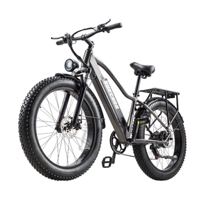 Burchda RX20