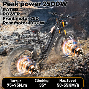 peak power 2500W ebike