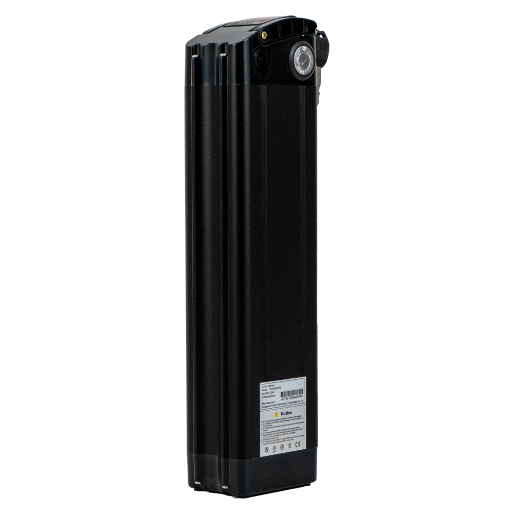 48V20Ah Battery