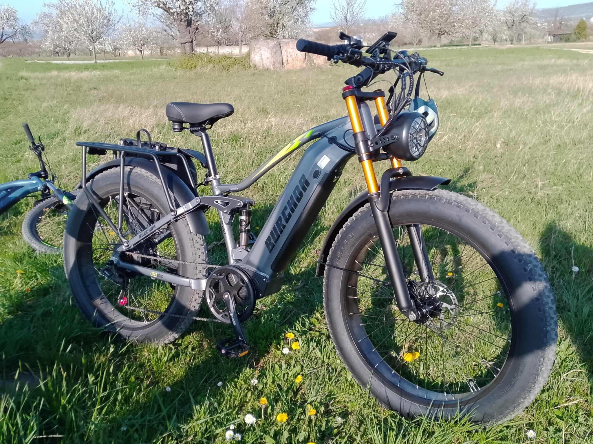 RX80 e-bike